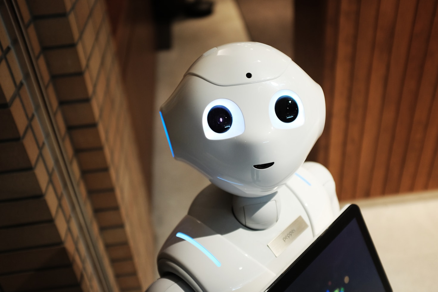 Najważniejsze komponenty każdego domowego robota